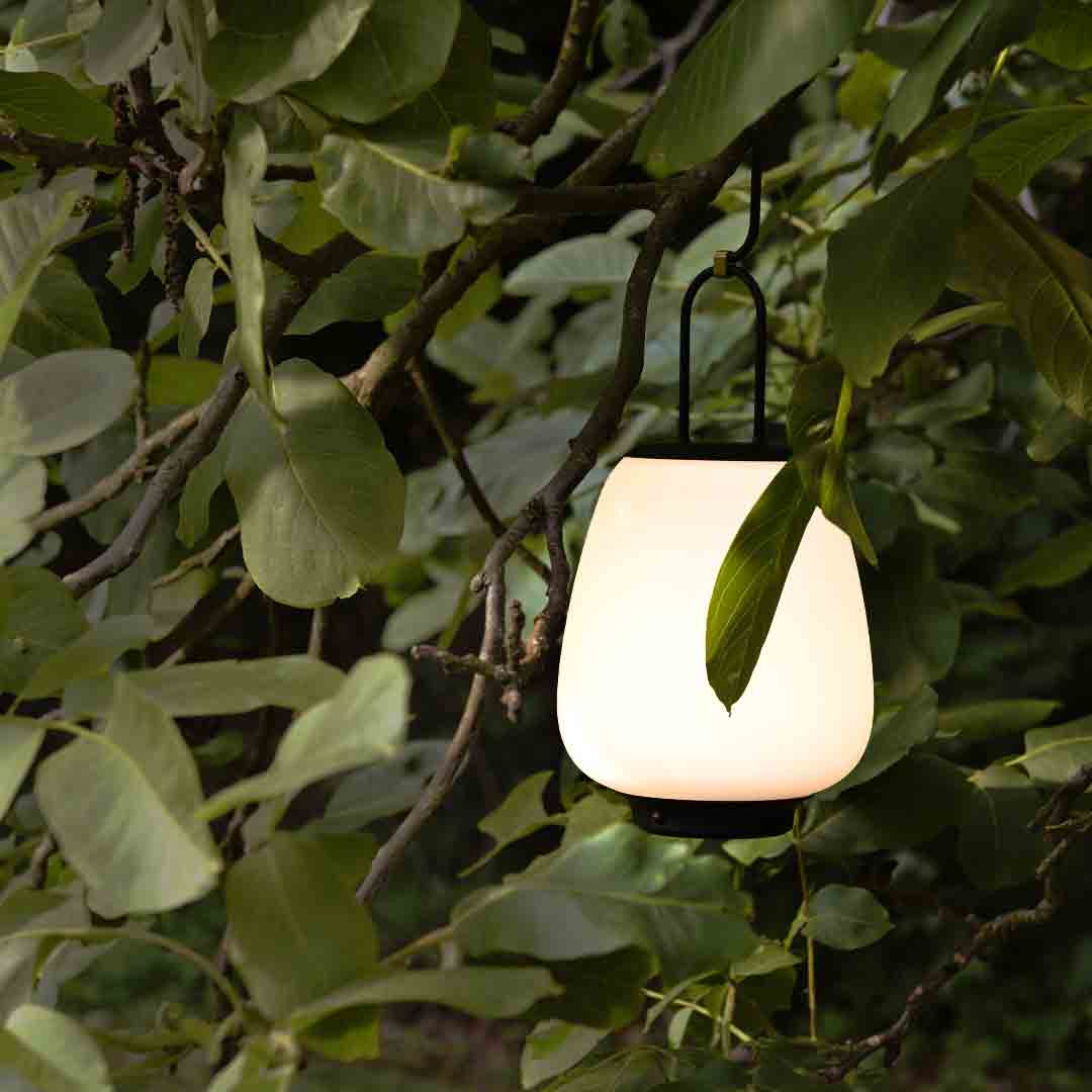 Portable Lamps