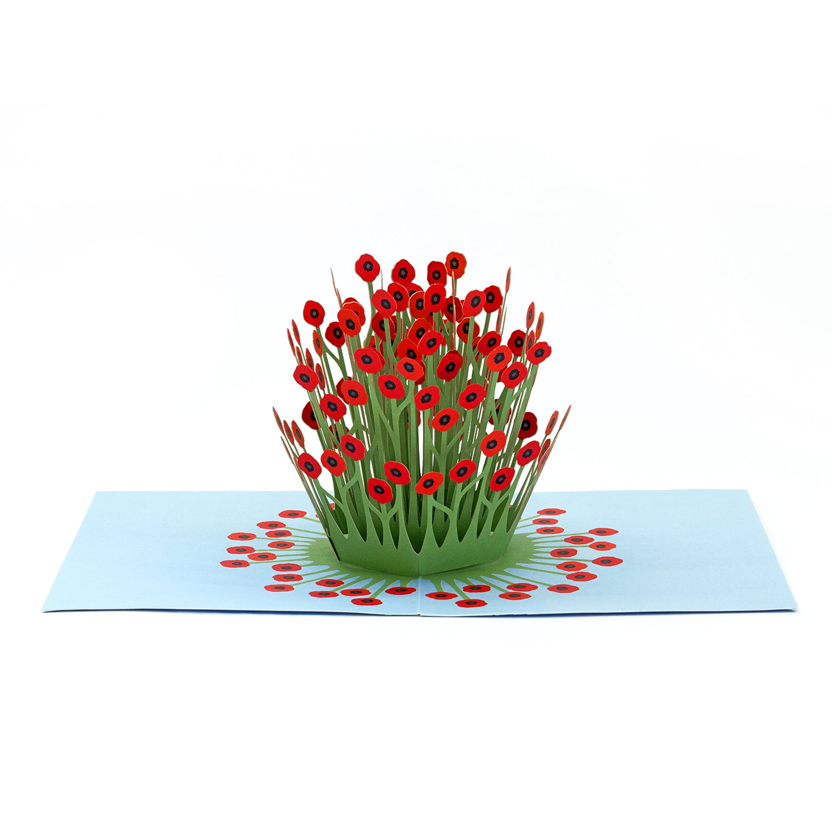 AMEICO - Official US Distributor of IC Design - Blooming Poppies