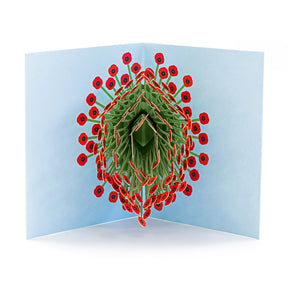 IC Design, Peter Dahmen Blooming Poppies Pop Up Card, Notecard,