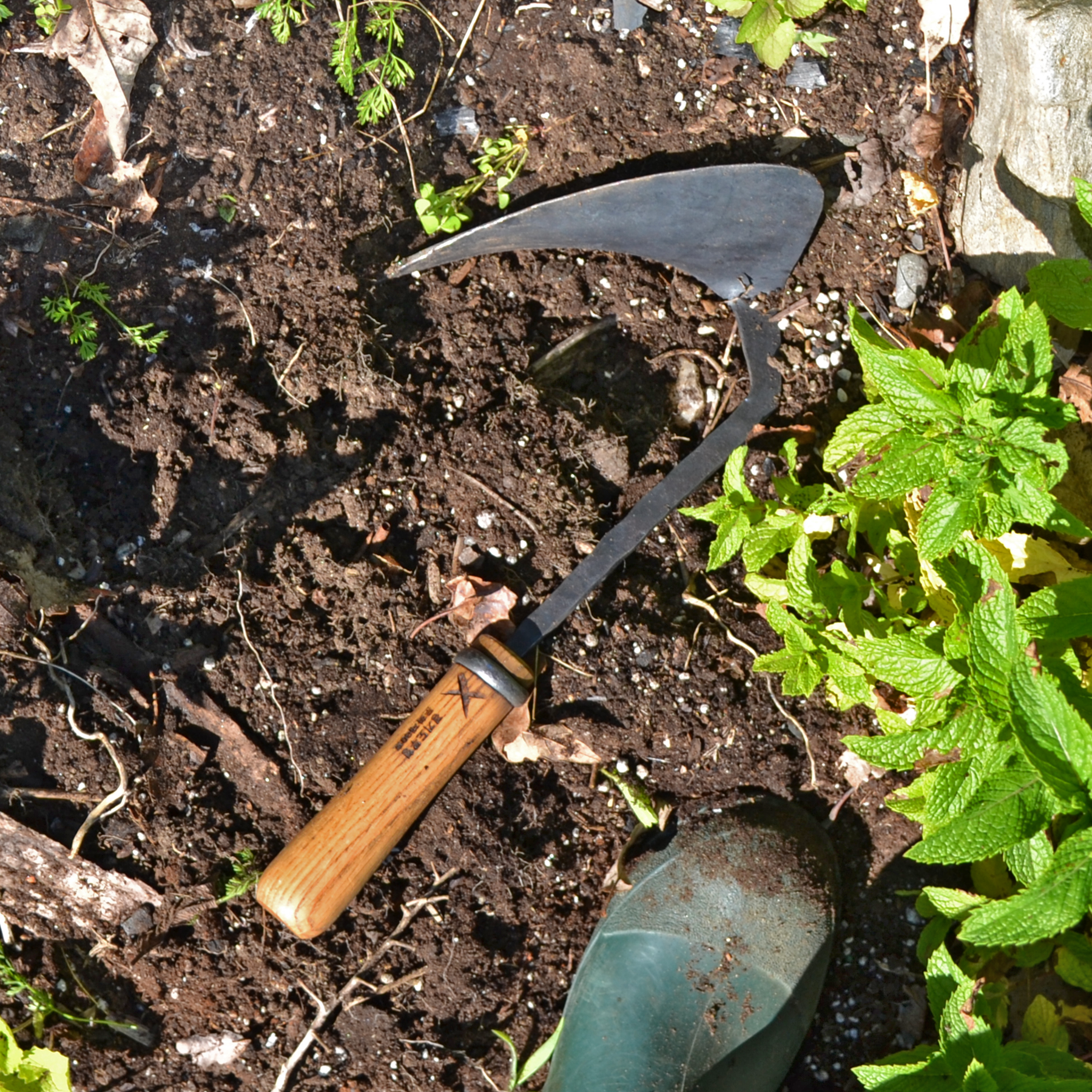 #65 Weeding Hoe, Large