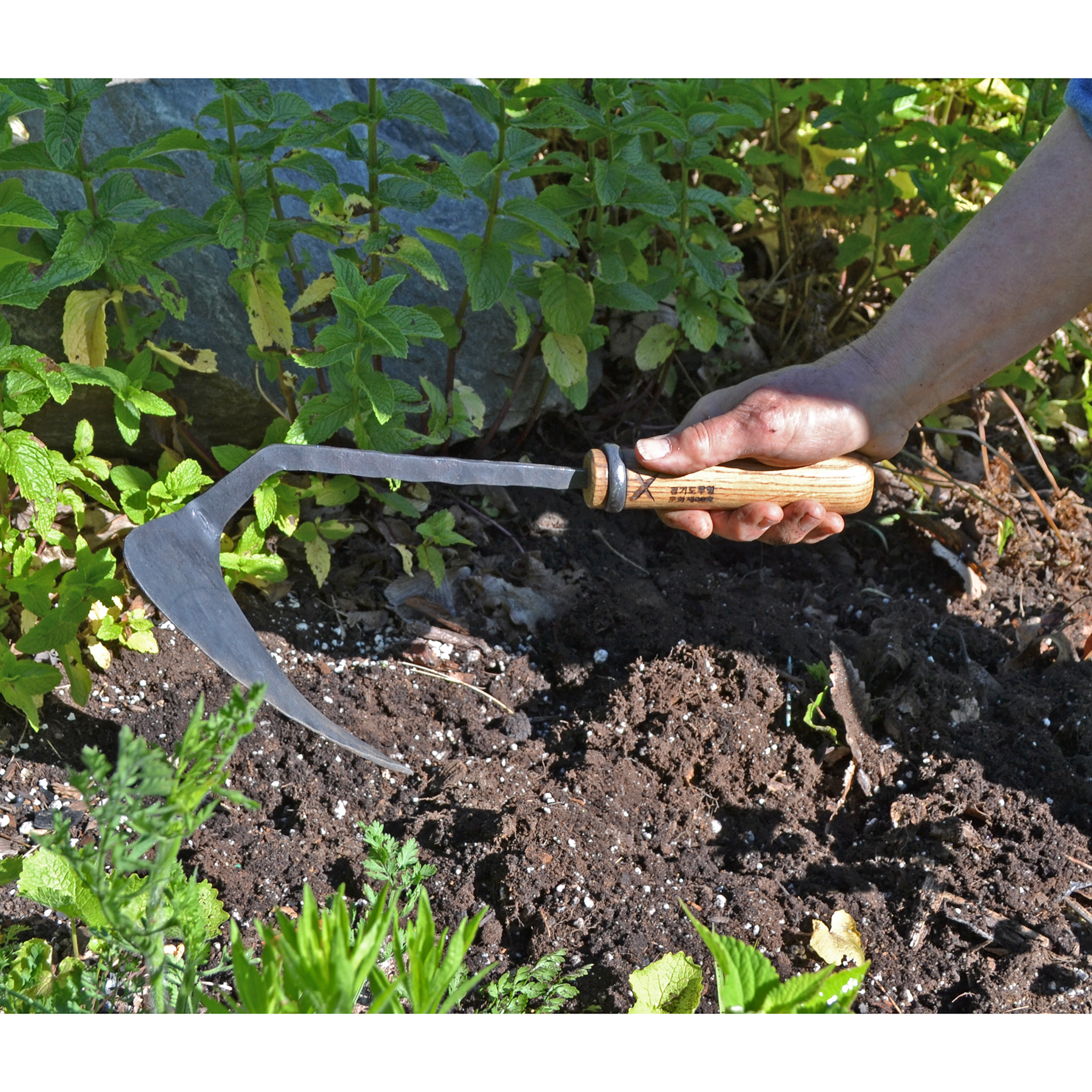 #65 Weeding Hoe, Large