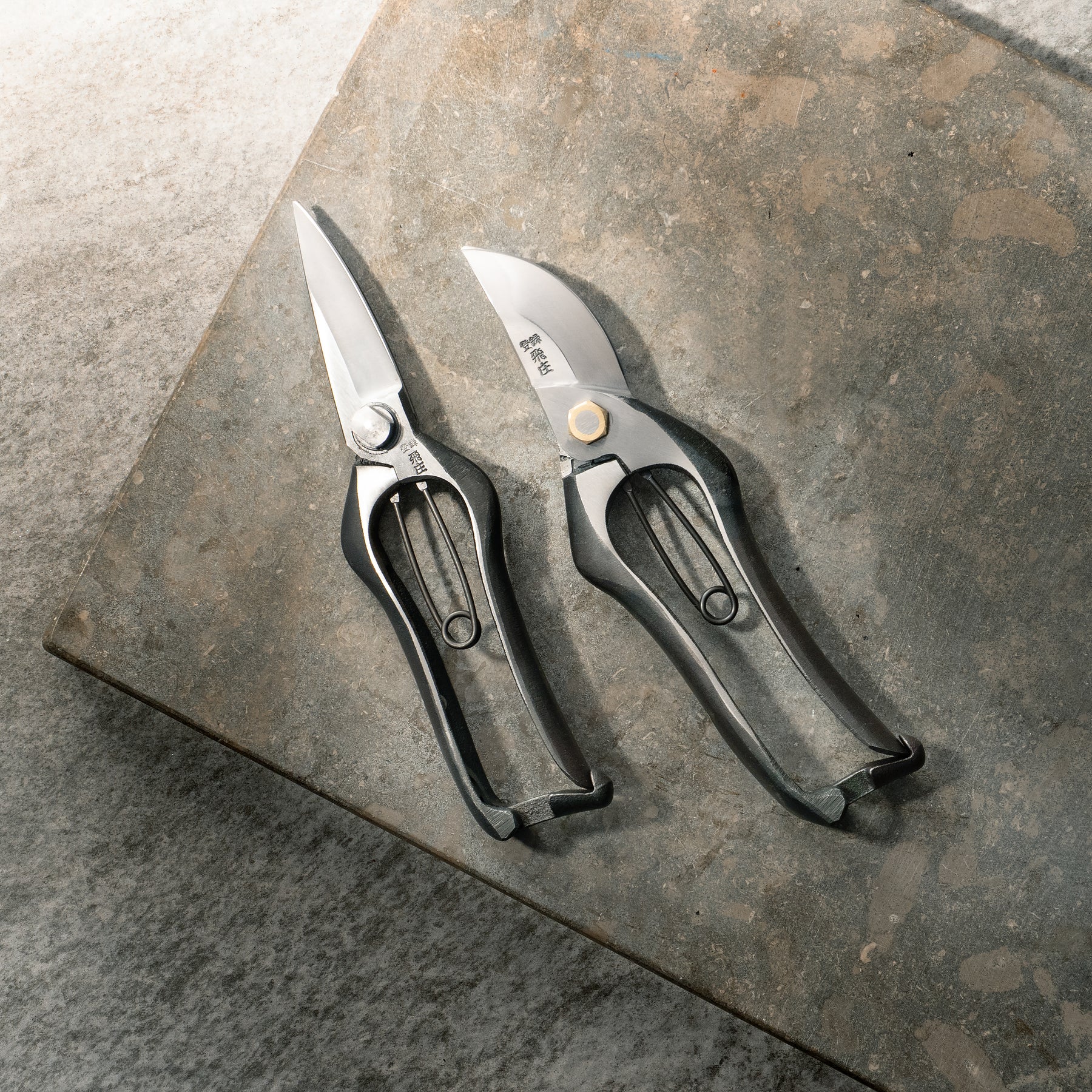 Pruning Shears