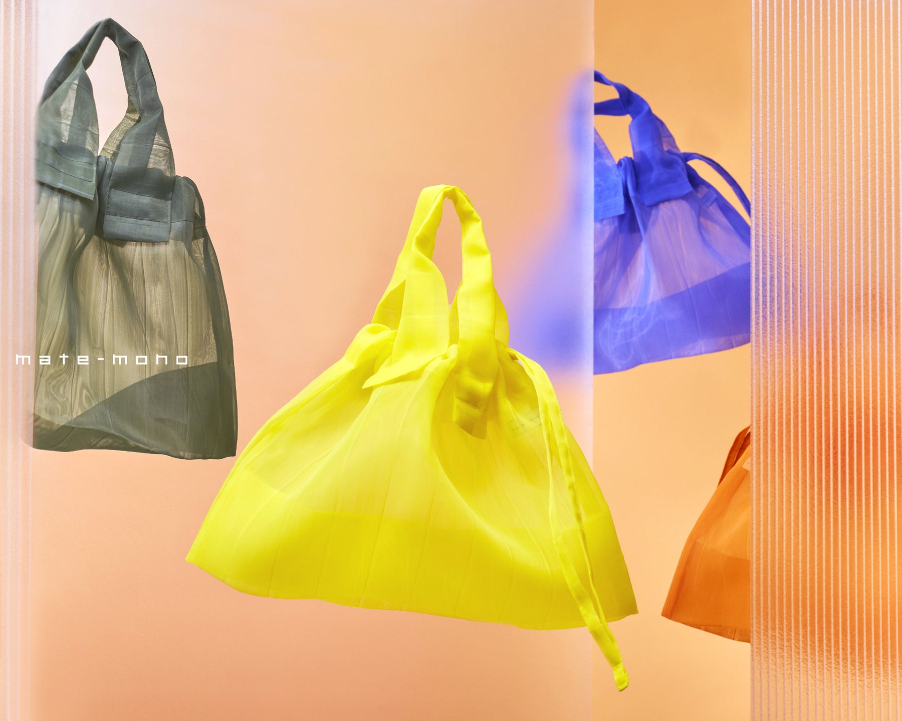 See Through Bag