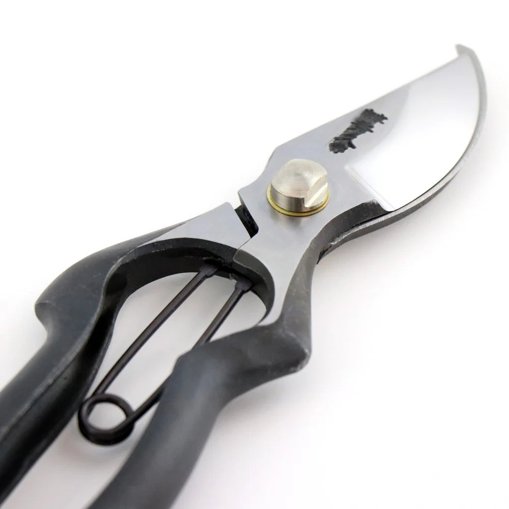 T13-O Pruning Shears, Asymmetrical - Olive Leather Grip
