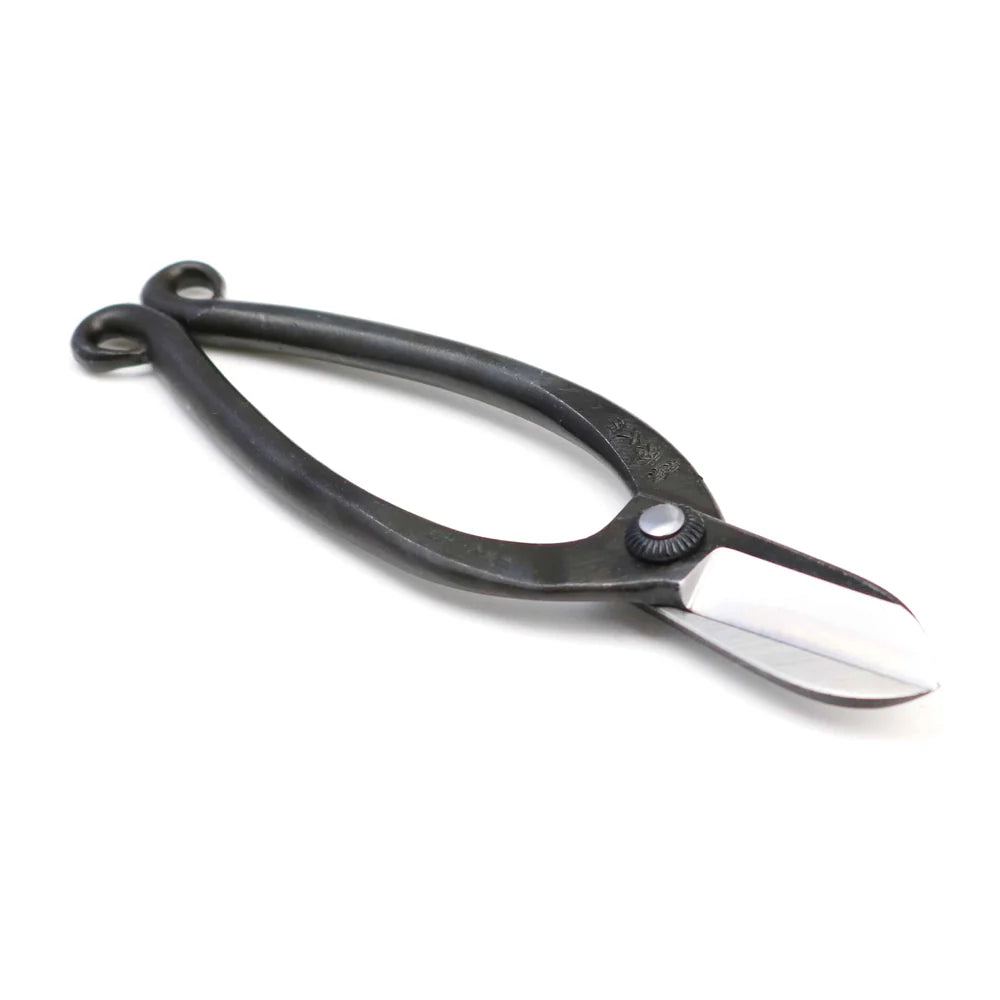 T8 Warabi Scissors