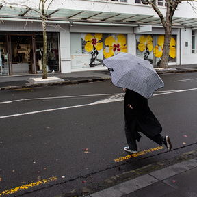 Person holding a checkered umbrella crossing a street with a building featuring large yellow floral murals in the background.
