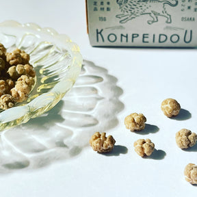 Konpeidou brand dried snail capsules shown with their white and green packaging box and a clear glass dish filled with the brown, textured capsules, set against a bright white background with artistic shadow casting.