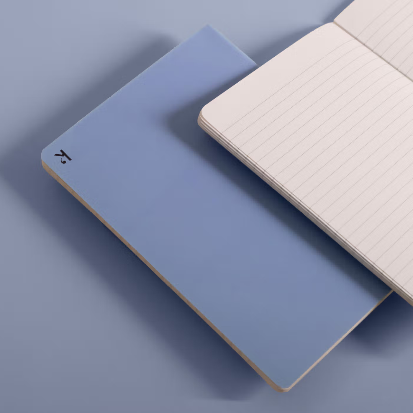 Two notebooks, one blue and one white with grid pattern, on a light blue background.