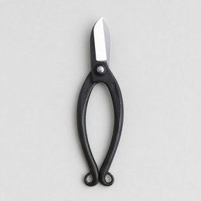 T8 Warabi Scissors