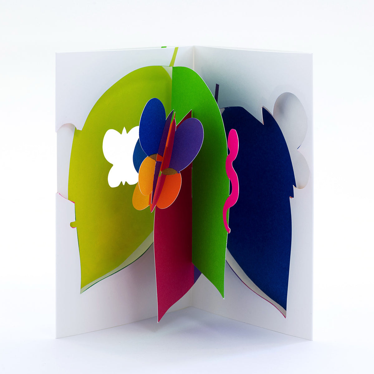 Official US Distributor of IC Design - Butterflies Pop Up Card - AMEICO