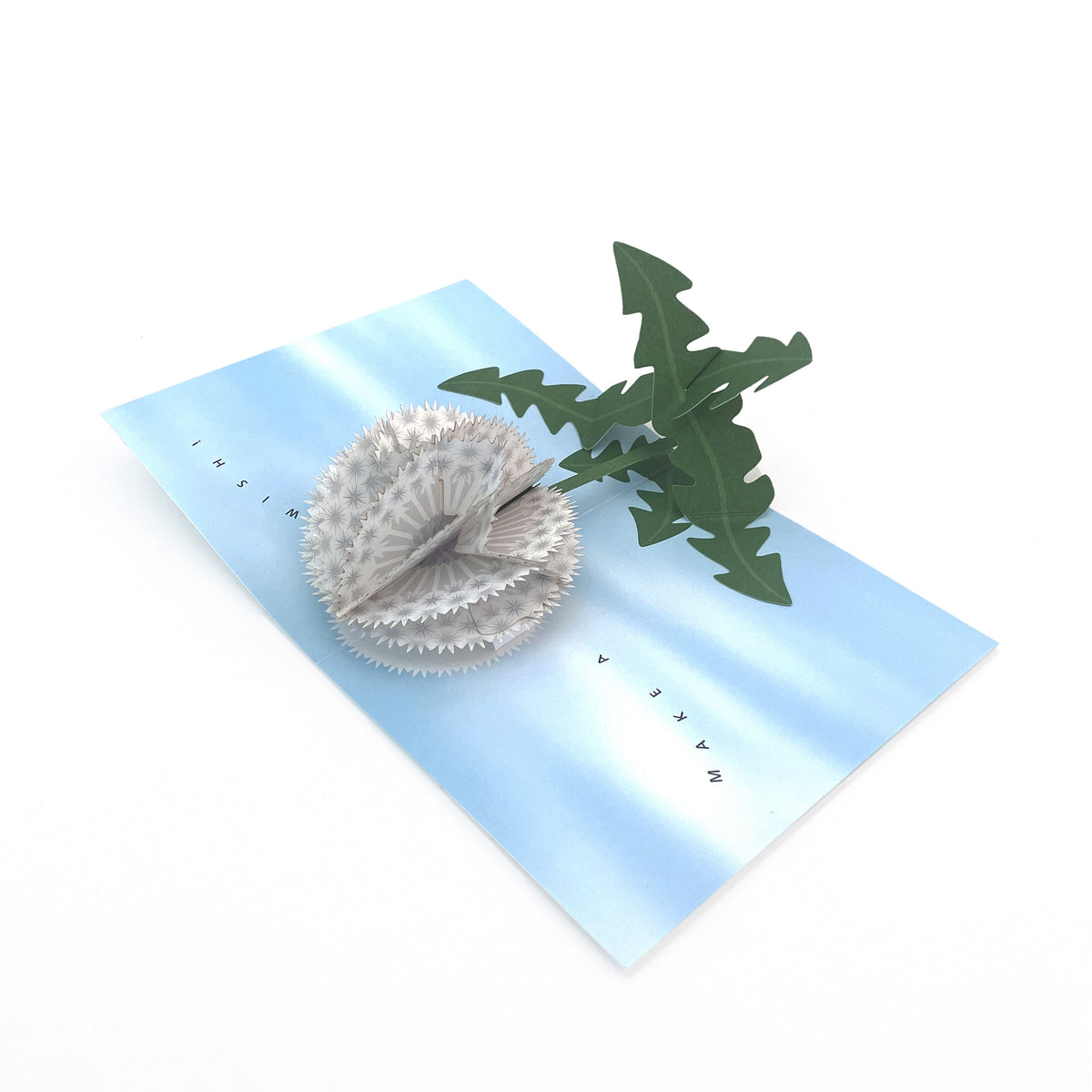 IC Design Dandelion Wishes | AMEICO - Official US Distributor