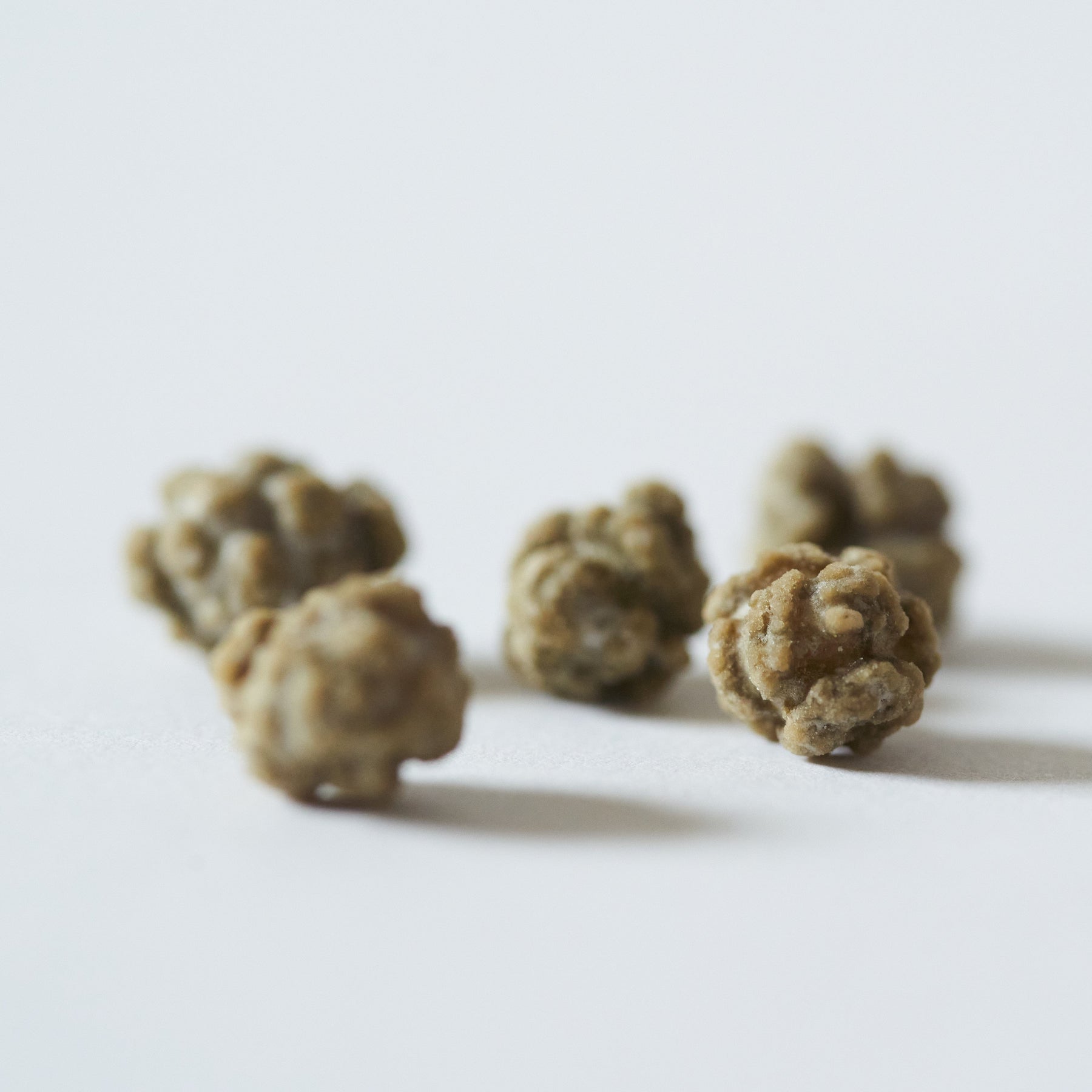 Four small, textured, knobby brownish-green botanical buds or capsules arranged on a plain white surface with soft shadows.