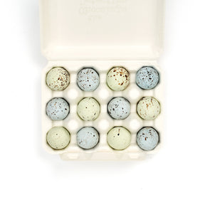Rainbow Lovebird Eggs with Assorted Praline and Caramel