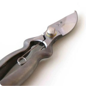 T513 Pruning Shears, Asymmetrical - Stainless Steel