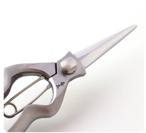 T527 Pruning Shears, Asymmetrical - Stainless Steel