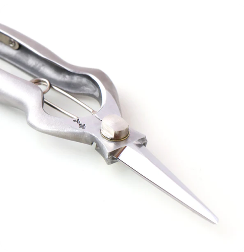 T527 Pruning Shears, Asymmetrical - Stainless Steel