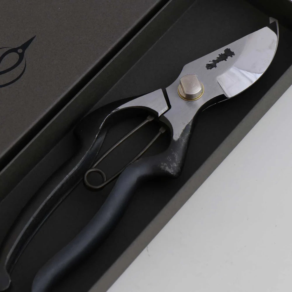 T13-O Pruning Shears, Asymmetrical - Olive Leather Grip