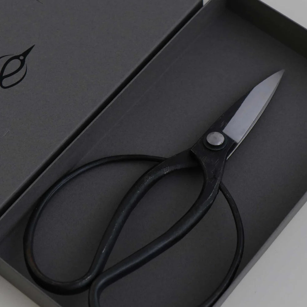 Black-handled scissors with silver metal blades, presented inside a dark gray gift box.