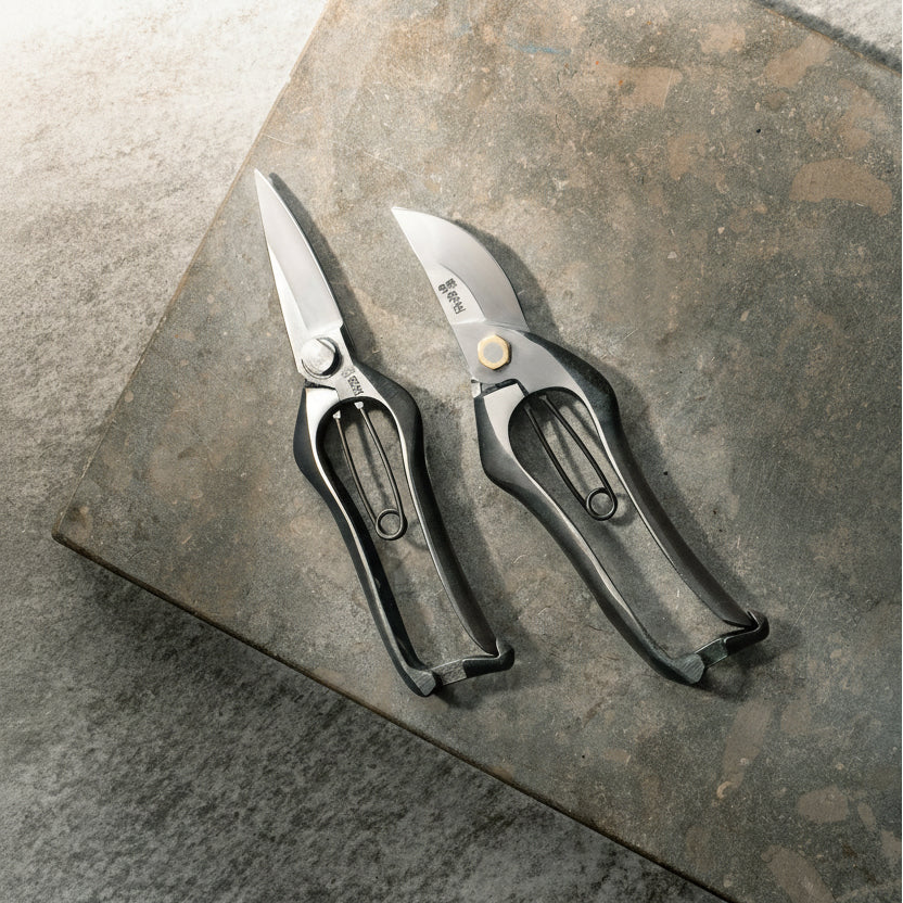 Pruning Shears