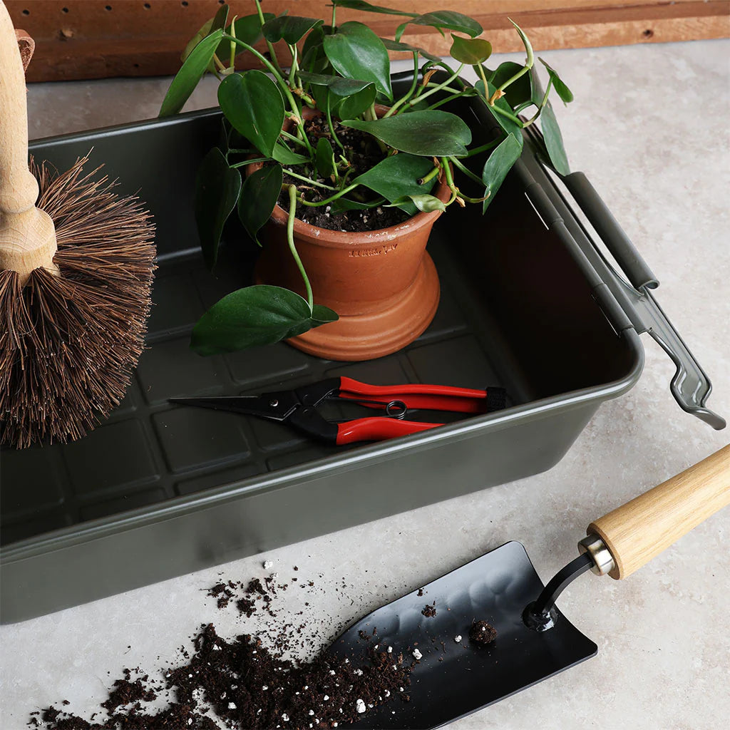 Military green storage bin holding a potted houseplant, pruning shears, and a scrub brush, with potting soil and a hand trowel on a work surface.
