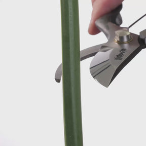 T13-O Pruning Shears, Asymmetrical - Olive Leather Grip