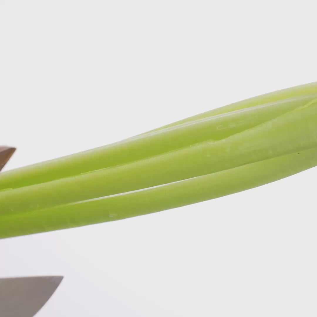 T8 Warabi Scissors