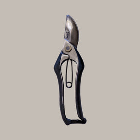 Pruning Shears