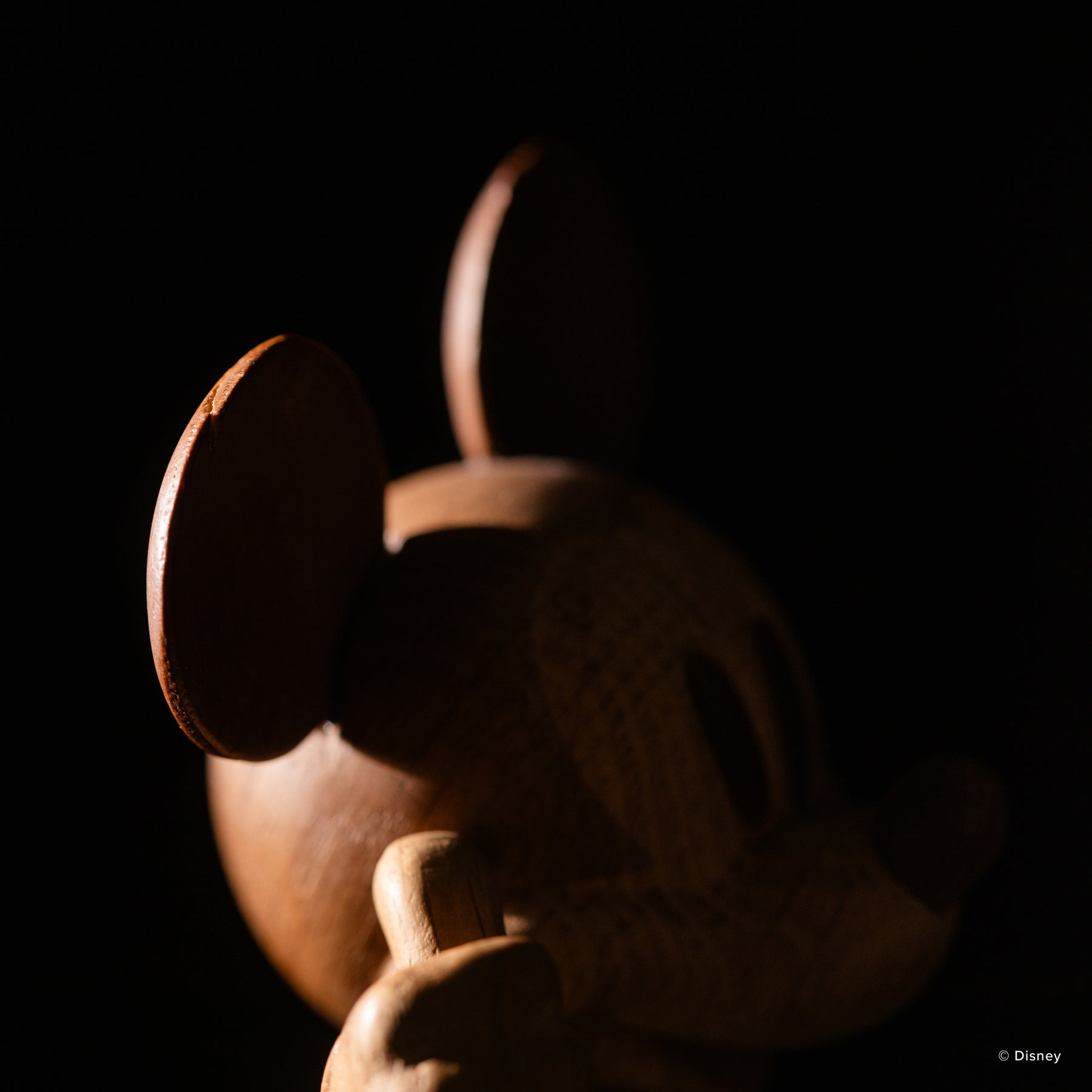 Disney x Mickey Mouse