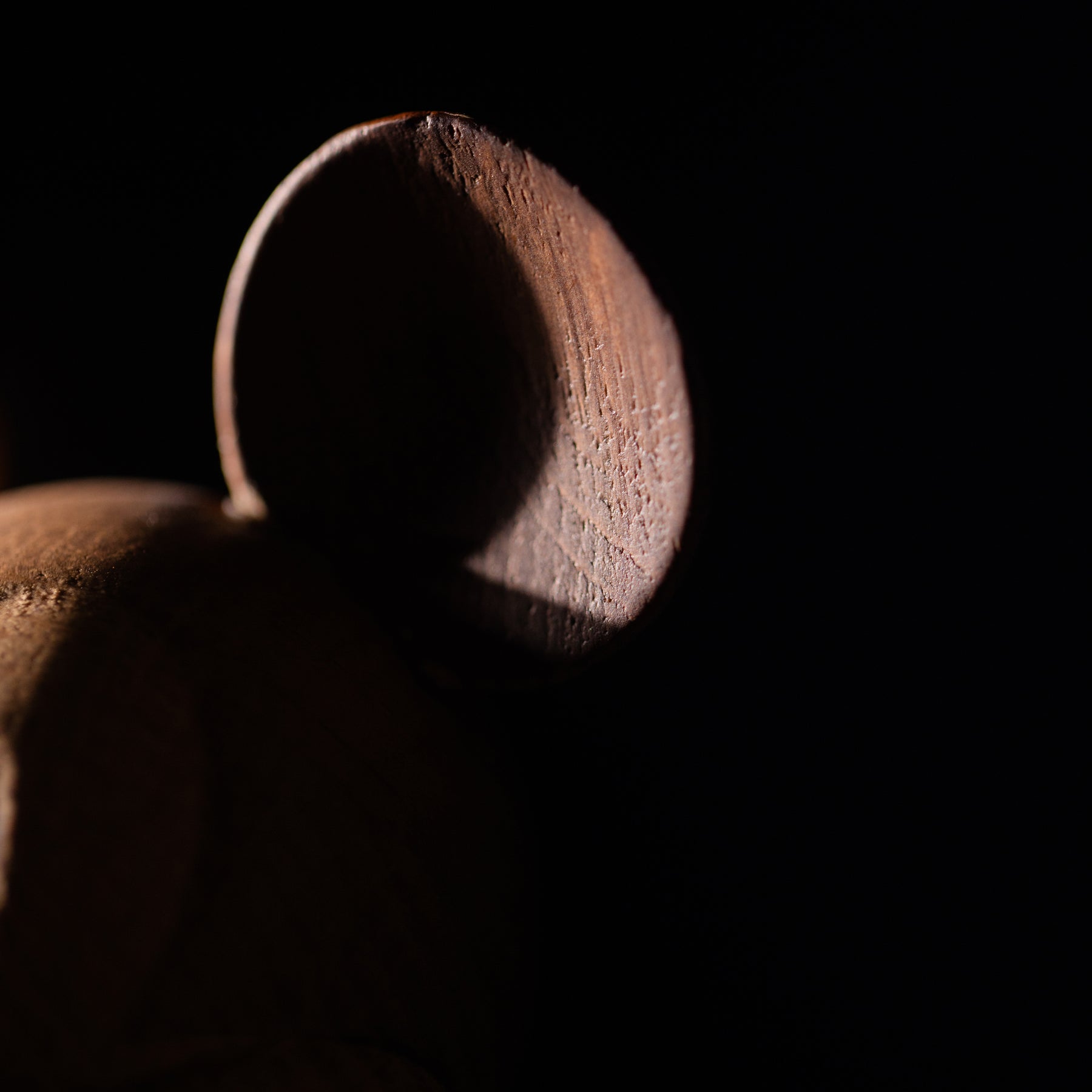 Disney x Mickey Mouse