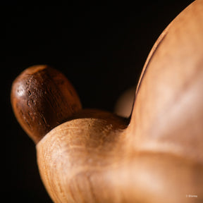 Disney x Mickey Mouse