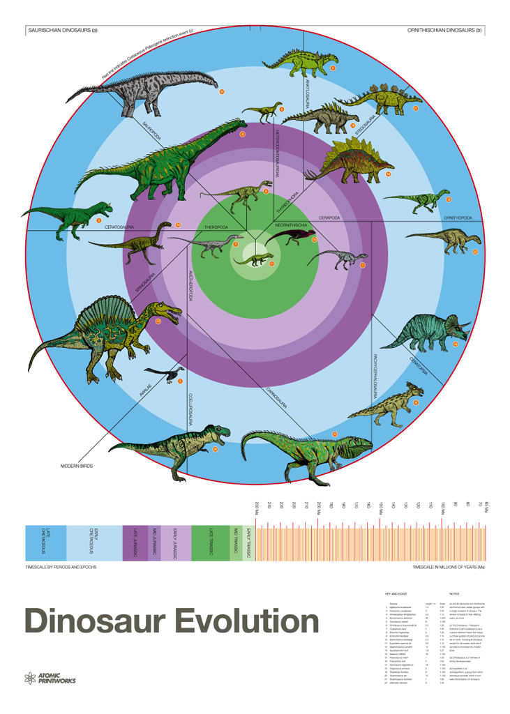 Atomic Printworks Dinosaur Evolution Poster
